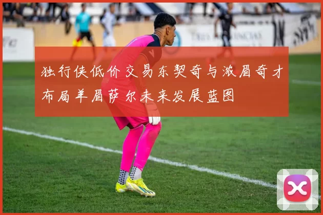 独行侠低价交易东契奇与浓眉奇才布局羊眉萨尔未来发展蓝图